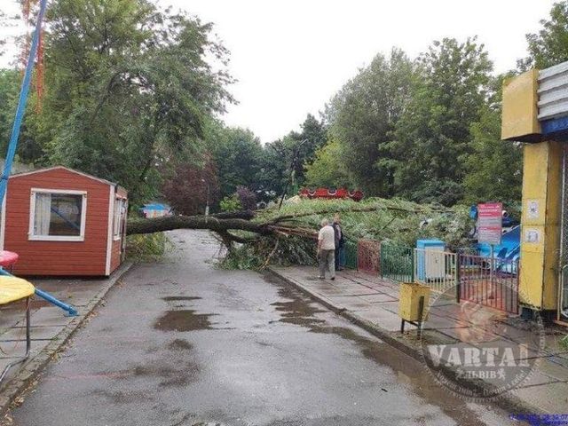 Повалені дерева і підтоплені вулиці: у мережі показали наслідки буревію у Львові - фото 472715