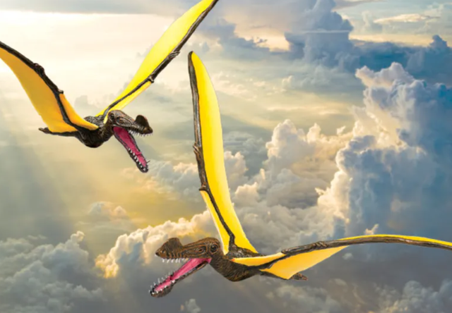 В Австралії виявили останки птерозавра з розмахом крил у 7 метрів - фото 472764