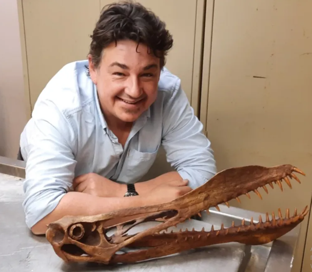 В Австралії виявили останки птерозавра з розмахом крил у 7 метрів - фото 472765