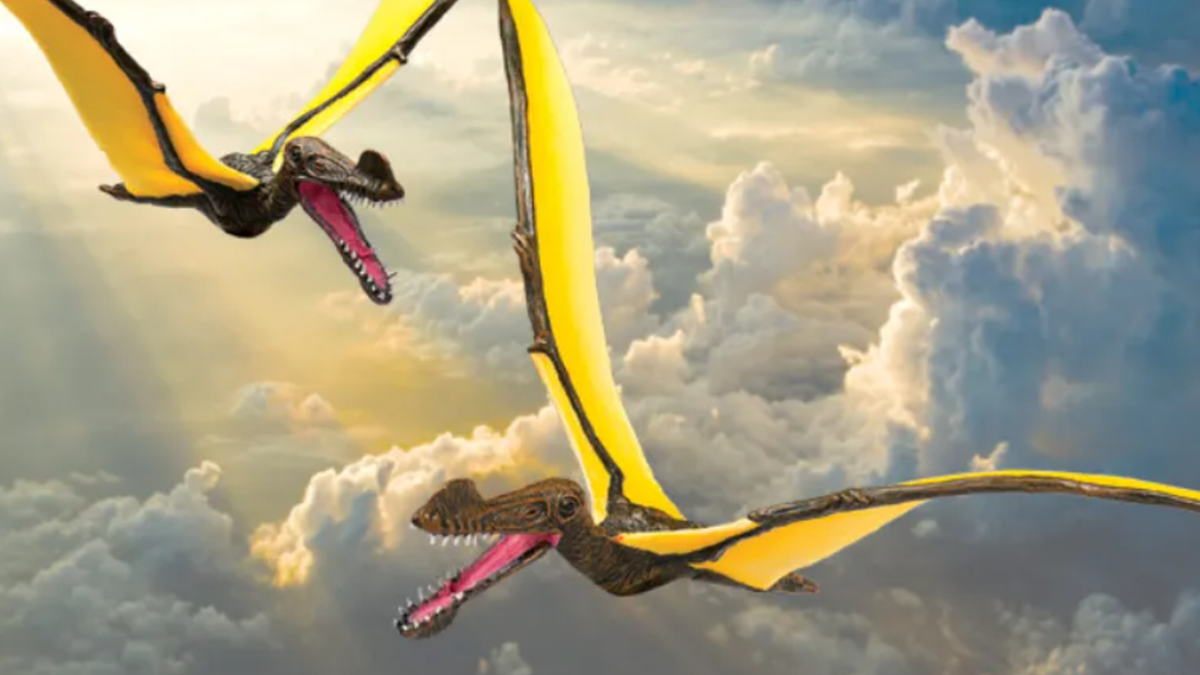 В Австралії виявили останки птерозавра з розмахом крил у 7 метрів