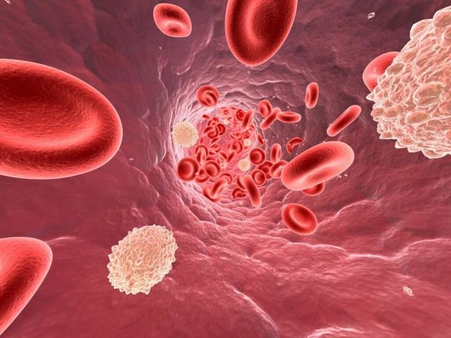 Рівень холестерину - фото 473048