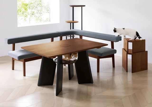 В Японії продають стіл з отвором для котів: для чого він потрібний - фото 473423