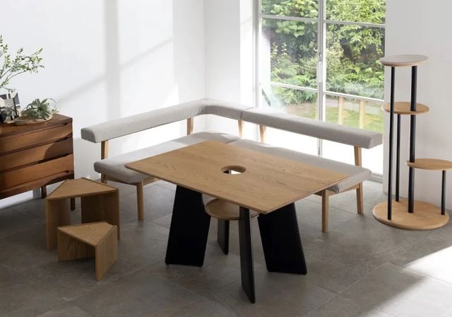 В Японії продають стіл з отвором для котів: для чого він потрібний - фото 473425