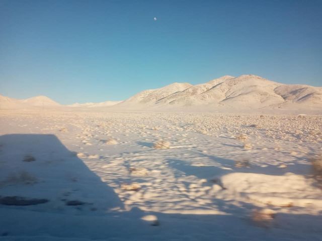 Найпосушливішу пустелю світу засипало снігом: фотофакт - фото 474019