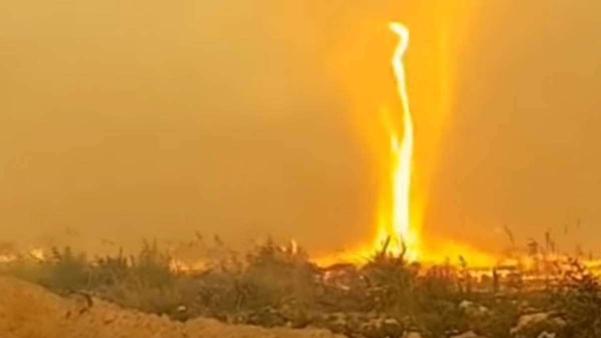 У США вирують лісові пожежі: на відео потрапив вогненний смерч