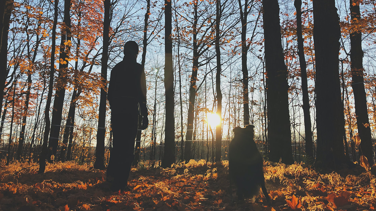 Три знаки Зодіаку, яким щаститиме у перші дні осені - фото 1