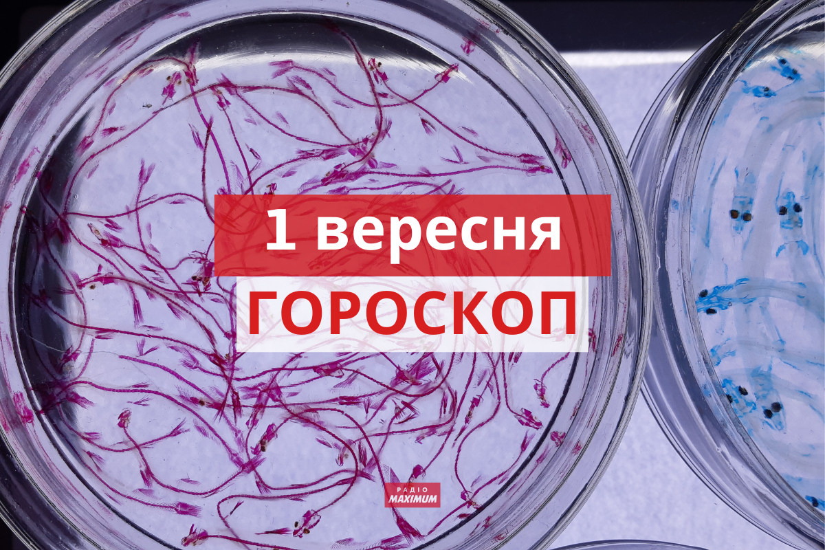 Гороскоп на 1 вересня 2021: прогноз для всіх знаків Зодіаку