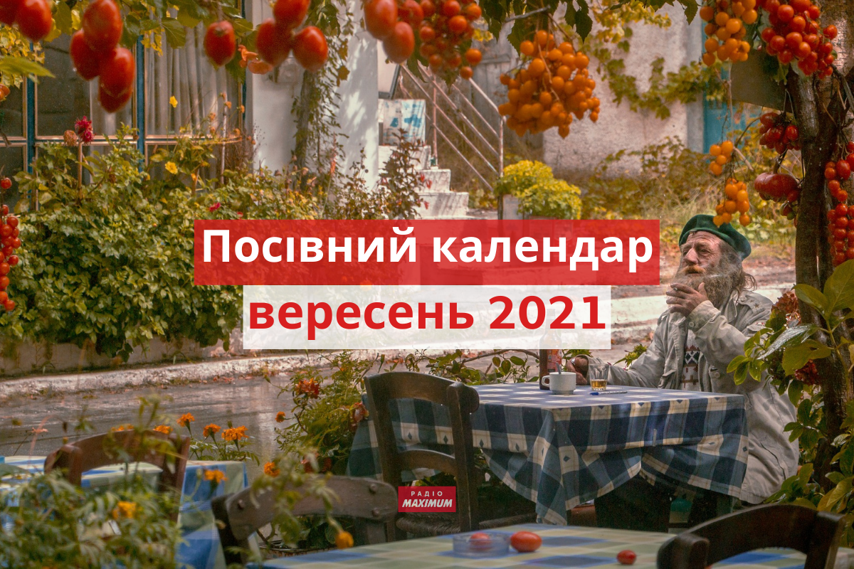 Місячний посівний календар на вересень 2021: коли і що садити