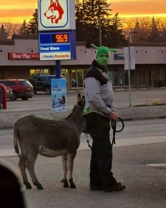 До сліз від сміху: безглузді фото тварин підкорюють Інстаграм - фото 474907