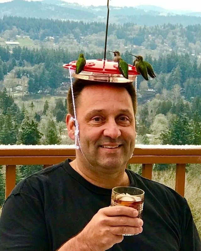 До сліз від сміху: безглузді фото тварин підкорюють Інстаграм - фото 474912