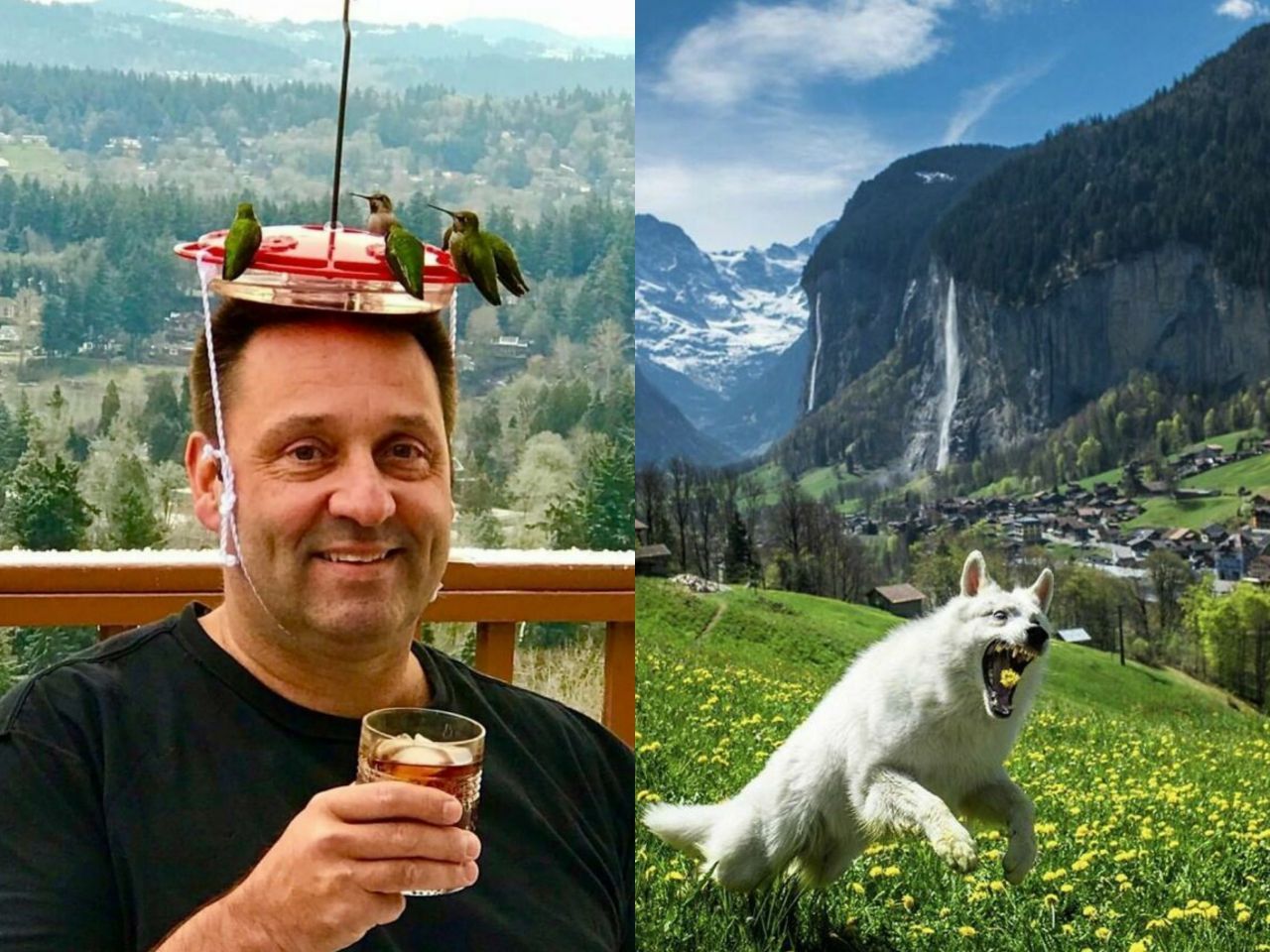 Кумедні фото тварин - фото 1