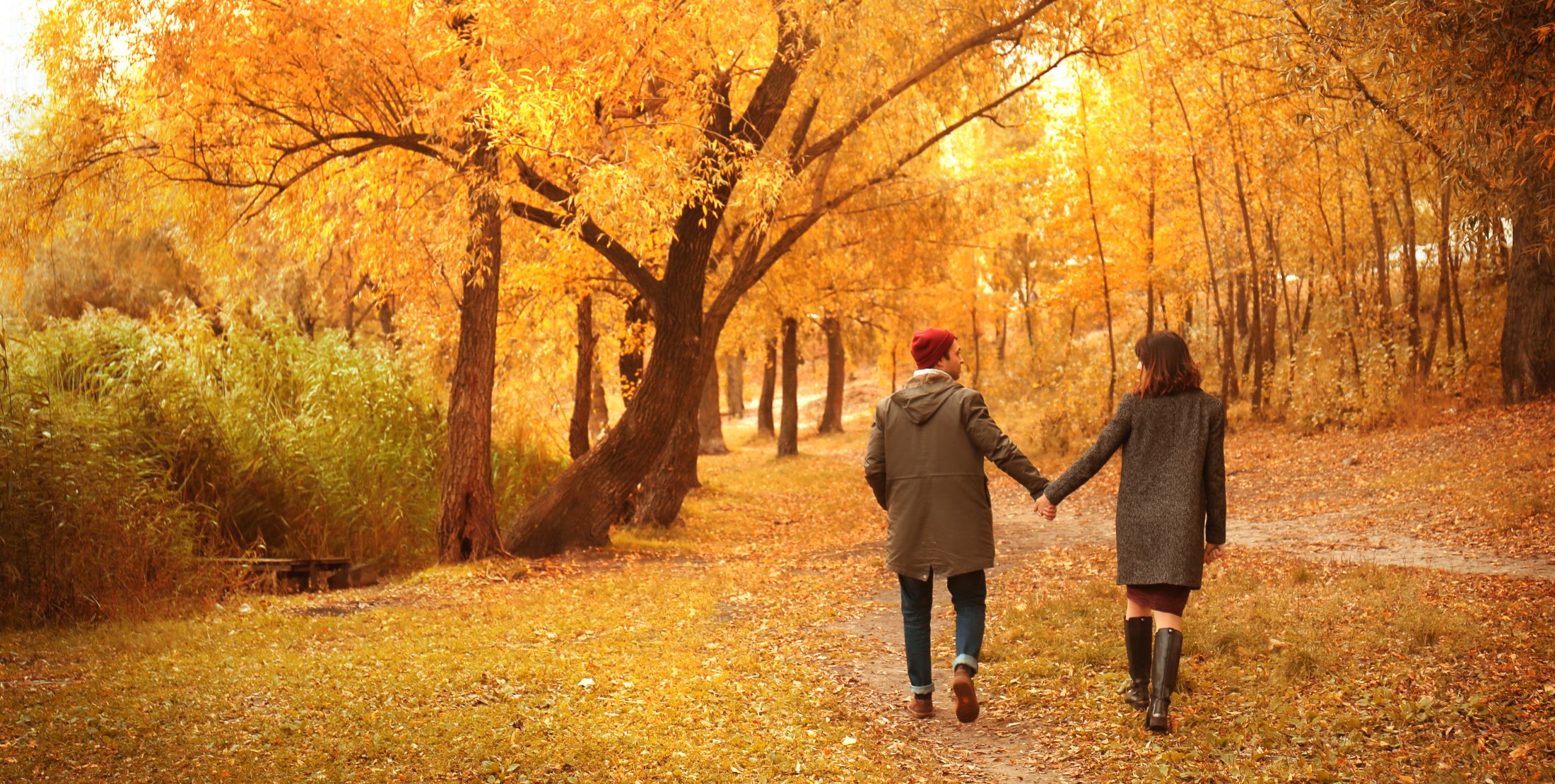 Як швидко підготувати організм до осені