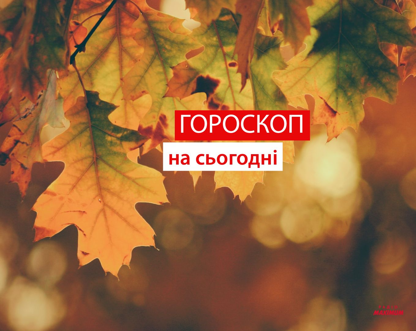 Гороскоп на 9 вересня 2021: прогноз для всіх знаків Зодіаку