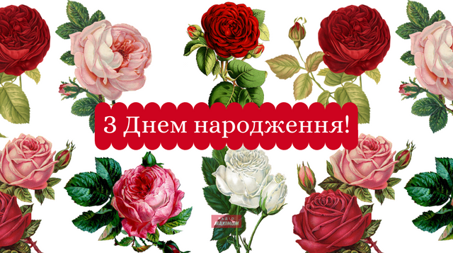 З Днем народження: ТОП 75 привітань у віршах, прозі та смс українською - фото 476547