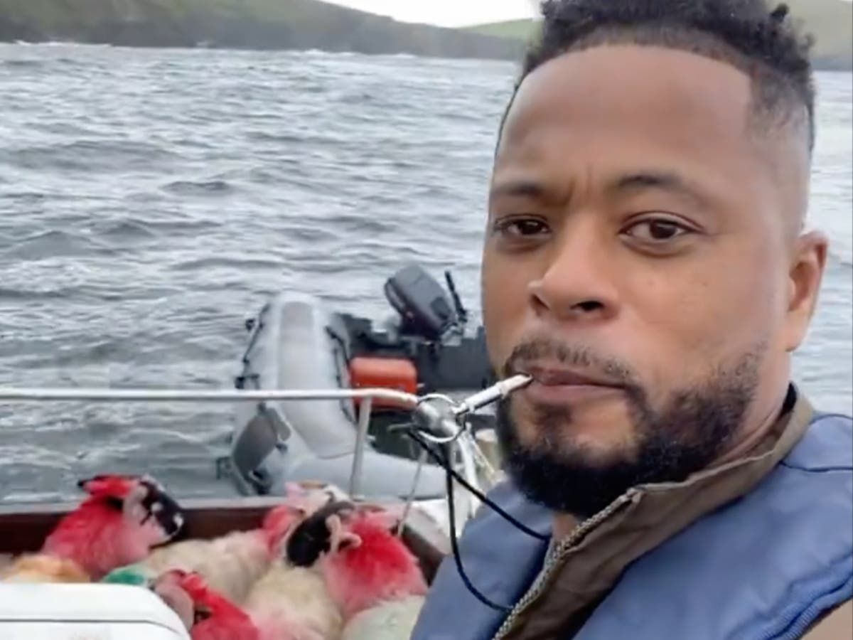 Кадр з відео - фото 1