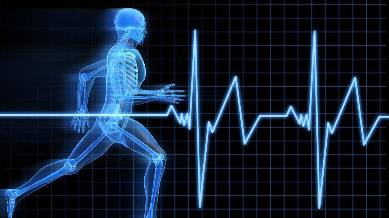 Тренування - фото 1