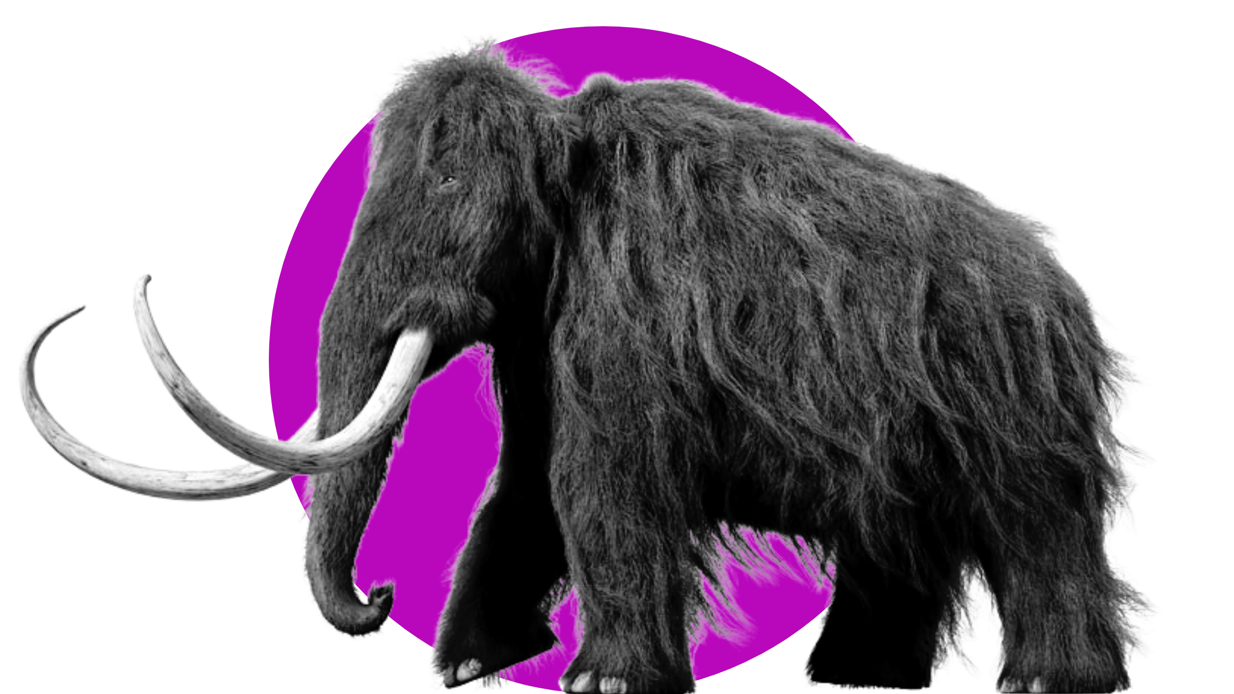 Вчені задумалися про відродження мамонтів