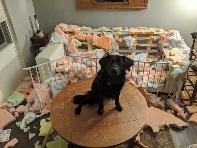 kpclaypool - фото 477613