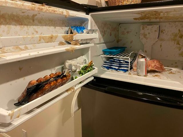 dim-pap - фото 477622