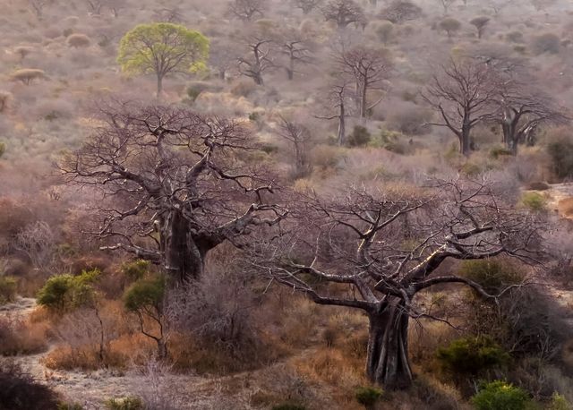 Професійний фотограф протестував камеру новенького iPhone 13 Pro: круті фото - фото 478003