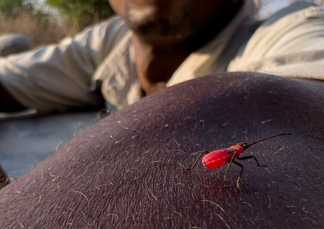 Професійний фотограф протестував камеру новенького iPhone 13 Pro: круті фото - фото 478006