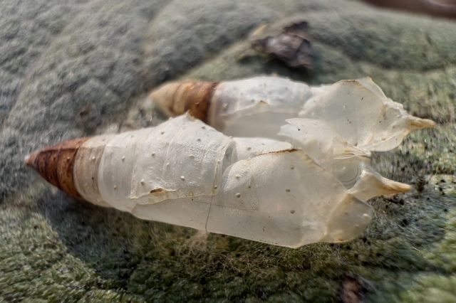 Професійний фотограф протестував камеру новенького iPhone 13 Pro: круті фото - фото 478007