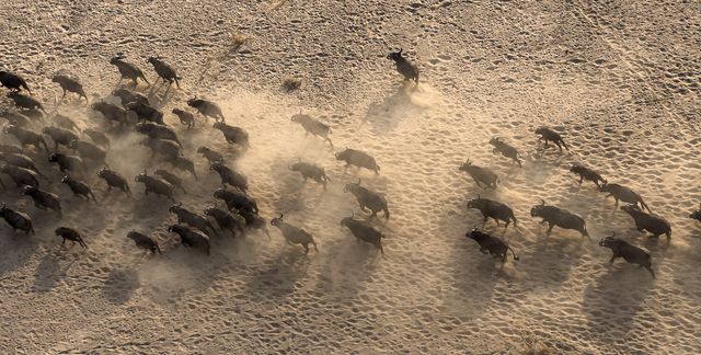 Професійний фотограф протестував камеру новенького iPhone 13 Pro: круті фото - фото 478008