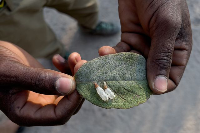 Професійний фотограф протестував камеру новенького iPhone 13 Pro: круті фото - фото 478010