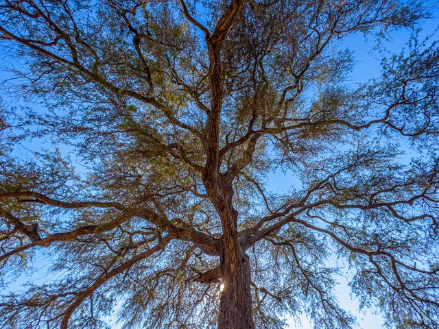 Професійний фотограф протестував камеру новенького iPhone 13 Pro: круті фото - фото 478011