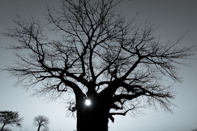 Професійний фотограф протестував камеру новенького iPhone 13 Pro: круті фото - фото 478012