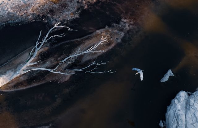 Професійний фотограф протестував камеру новенького iPhone 13 Pro: круті фото - фото 478013