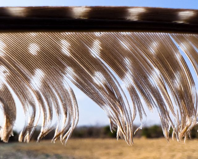 Професійний фотограф протестував камеру новенького iPhone 13 Pro: круті фото - фото 478014