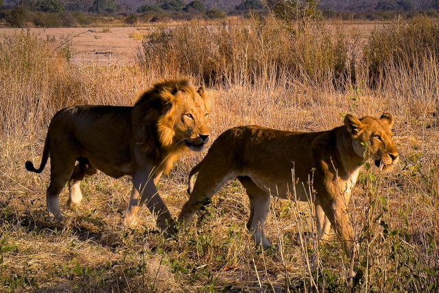 Професійний фотограф протестував камеру новенького iPhone 13 Pro: круті фото - фото 478015