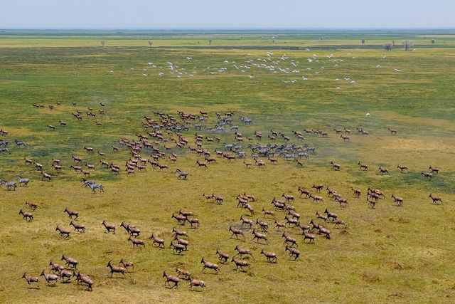 Професійний фотограф протестував камеру новенького iPhone 13 Pro: круті фото - фото 478016