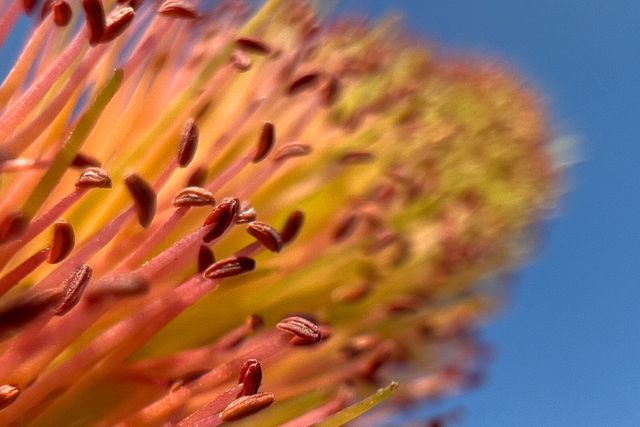 Професійний фотограф протестував камеру новенького iPhone 13 Pro: круті фото - фото 478017