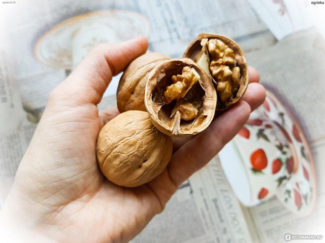 Горіхи у шкарлупі - фото 478061