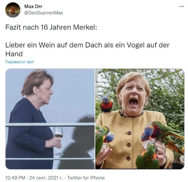 Меркель з папугами стала зіркою мережі: найкращі меми - фото 478087