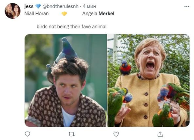 Меркель з папугами стала зіркою мережі: найкращі меми - фото 478088