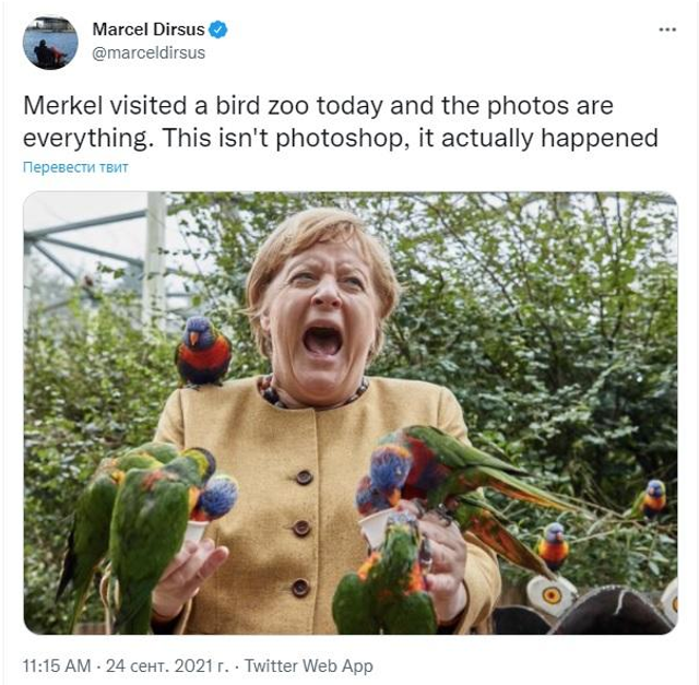 Меркель з папугами стала зіркою мережі: найкращі меми - фото 478089