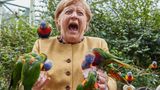 Меркель з папугами стала зіркою мережі: найкращі меми