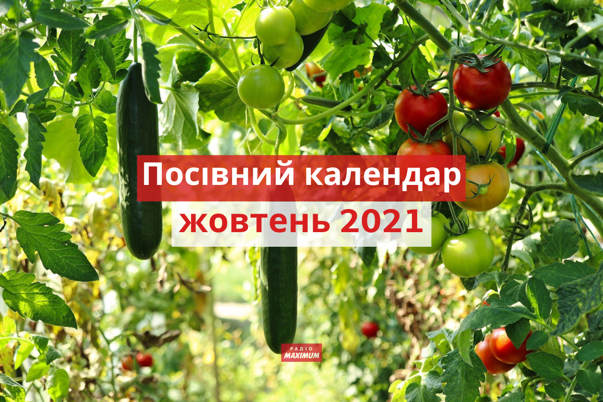 Місячний посівний календар на жовтень 2021: коли і що садити