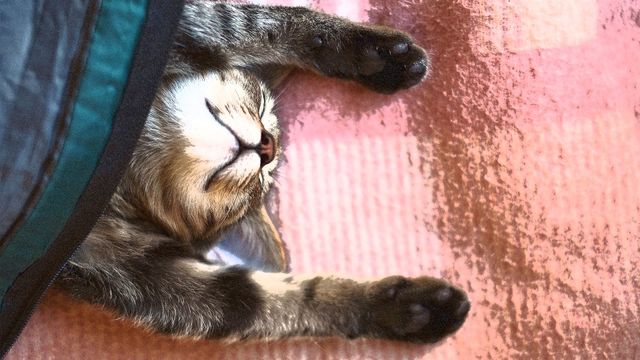 Як висипатися- фото 478329