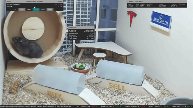 У Німеччині з'явився хом'як-криптотрейдер: він уже обійшов Воррена Баффета - фото 478468