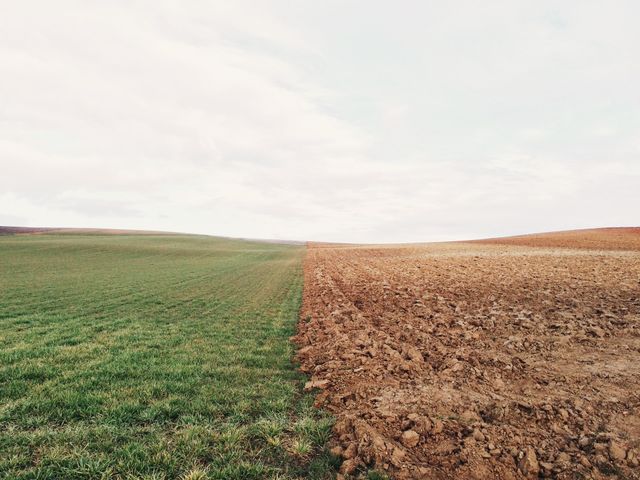 Коли Земля стане непридатною для життя: відповідь учених - фото 478524