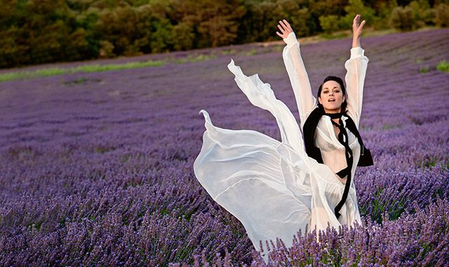 Найгарячіші образи Маріон Котіяр за всю кар'єру: добірка фото іменинниці (18+) - фото 478570