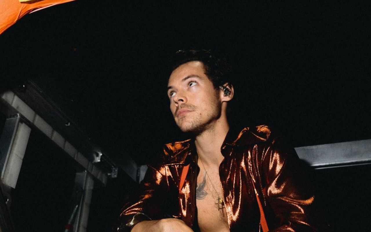 Гаррі Стайлс потішив свою фанатку під час концерту - фото 1