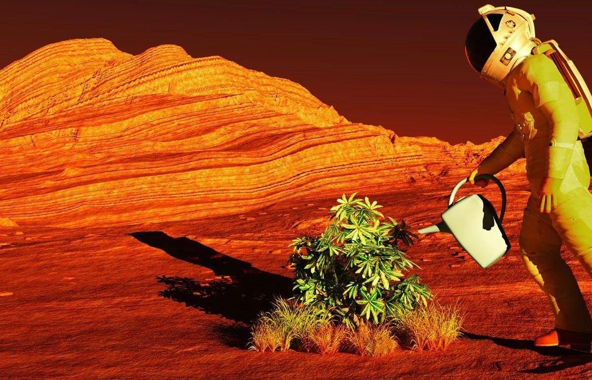 Марс - фото 1