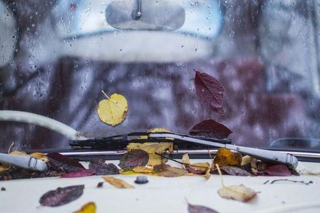 Як доглядати за авто восени: 9 порад, які допоможуть водіям легко пережити осінь - фото 479233