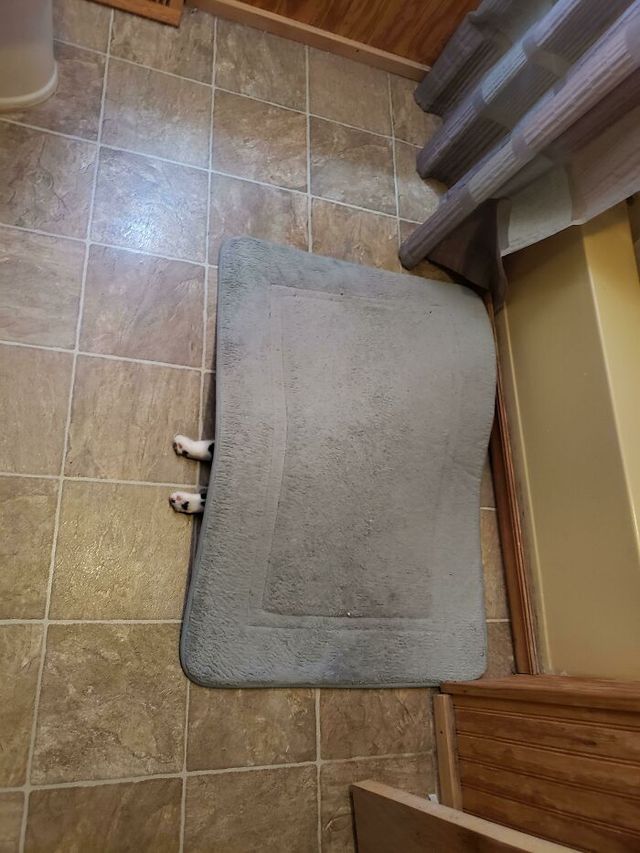 er4117 - фото 479529