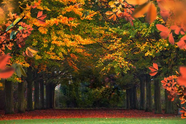 7 жовтня 2023 – яке сьогодні свято: традиції, заборони і прикмети - фото 479549